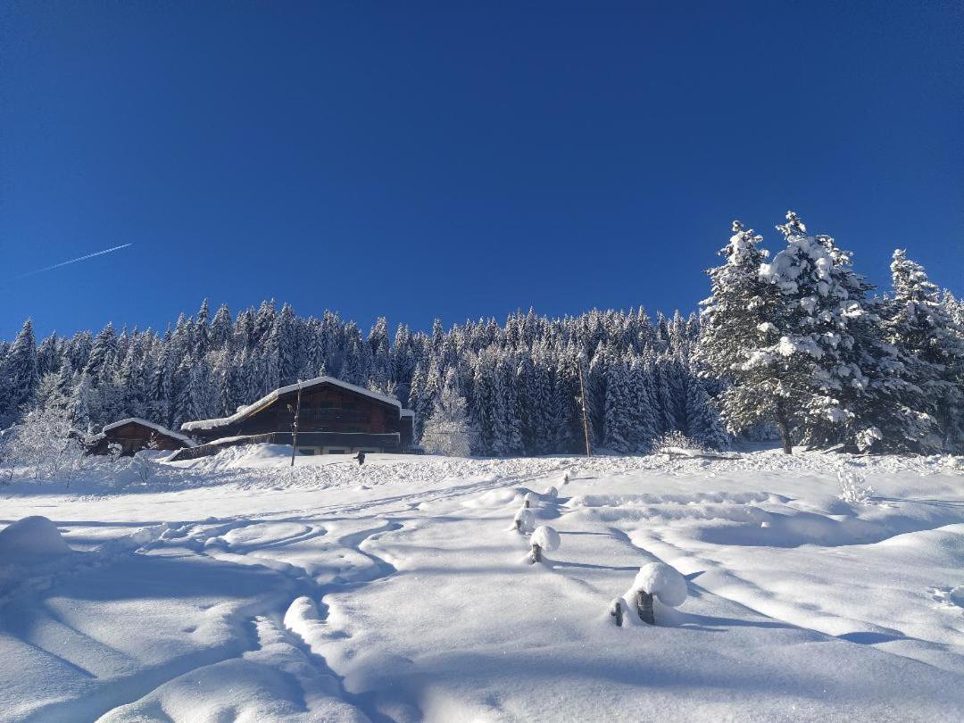 Chalet Lisa B&B Morzine Buitenkant foto